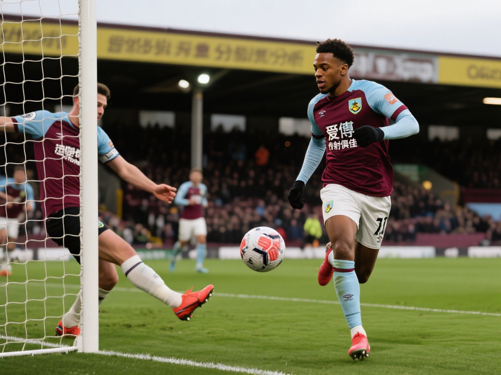 够站在最高 够站在最高